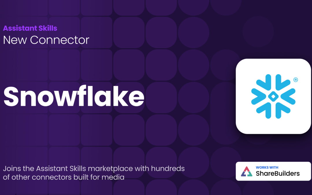 Snowflake Connector for ShareBuilder Skills